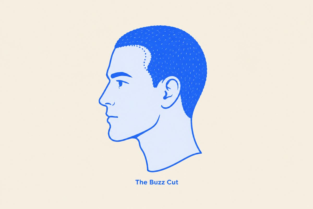 Buzz cut diagram with a receding hairline marked at the temples